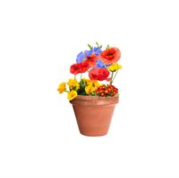CAPSULA CON SEMI DI FIORI